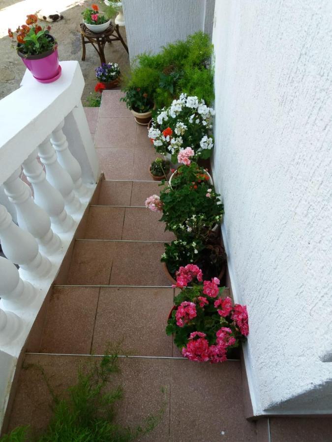 Apartman Sunce Raslina Exteriör bild