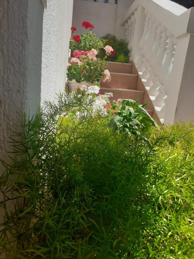 Apartman Sunce Raslina Exteriör bild