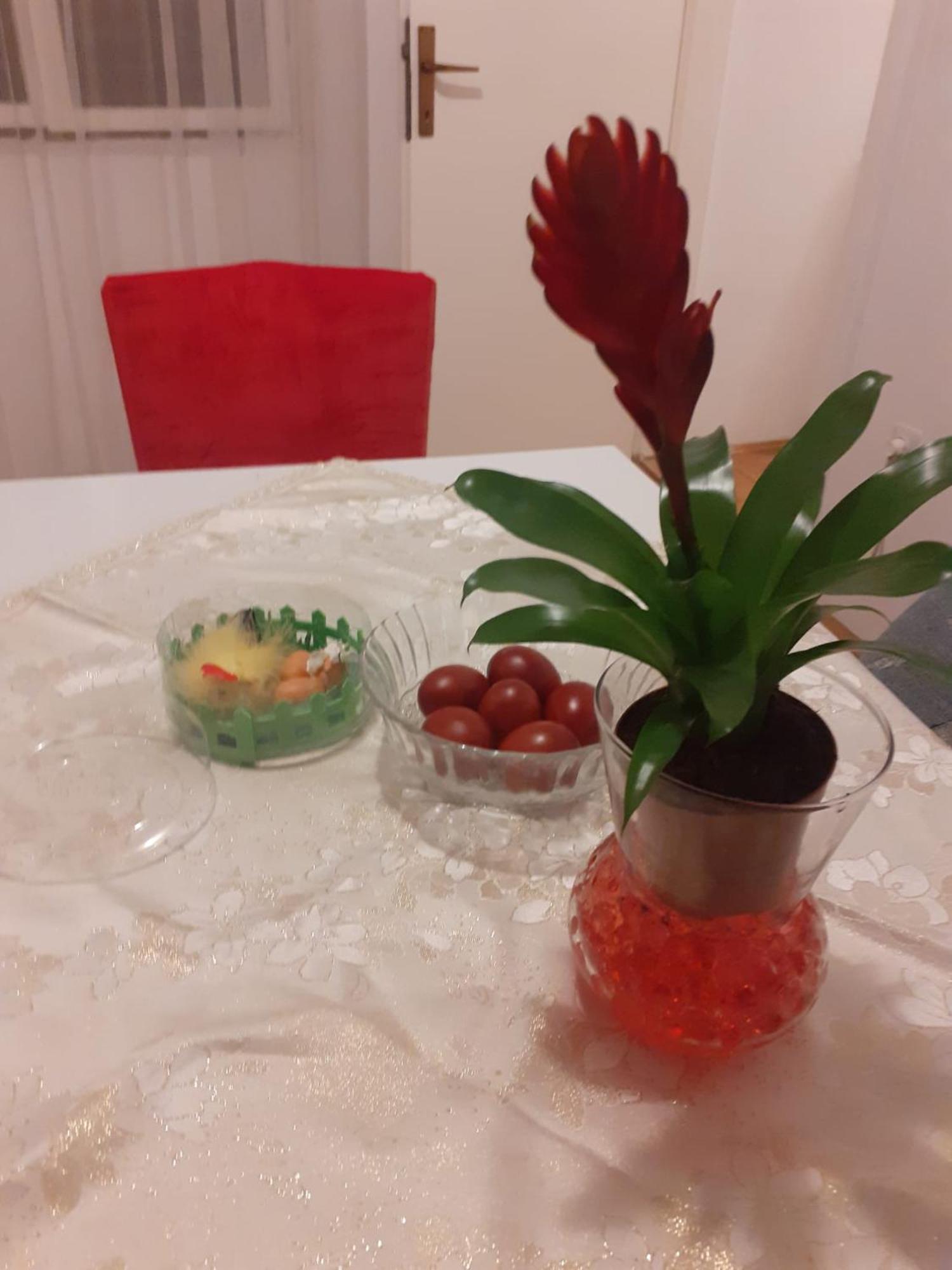 Apartman Sunce Raslina Exteriör bild
