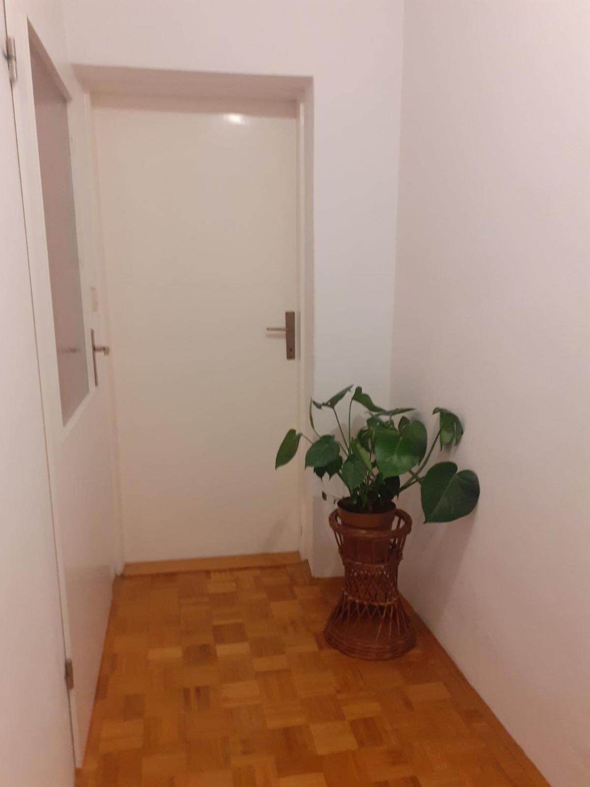 Apartman Sunce Raslina Exteriör bild